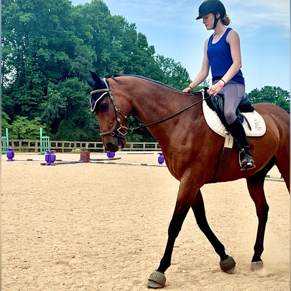 Meet your Posher, Rylee - Picture 4 of 7